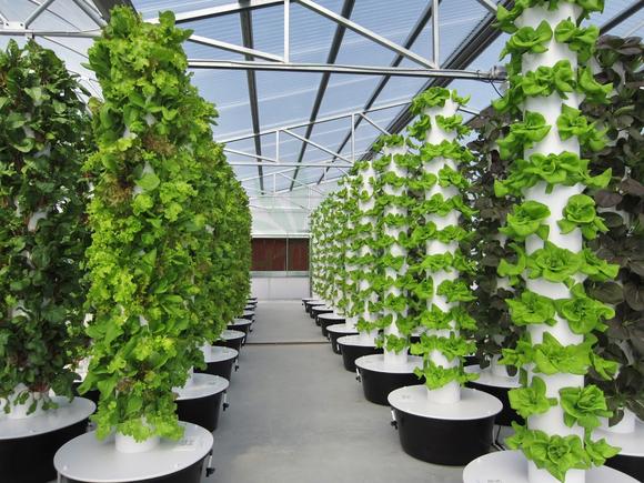 Our Greenhouses