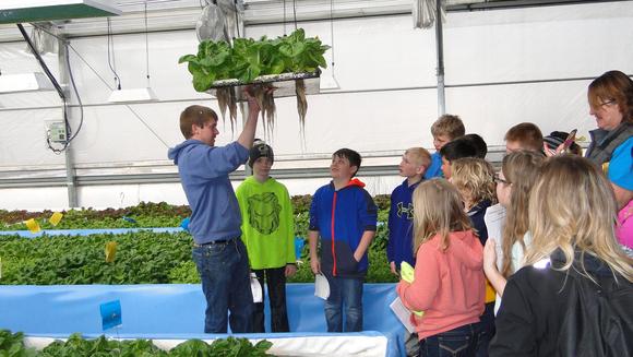 Youth Aquaponics program